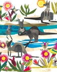 Rock Hop and Bloom at Lucky Bay