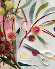 Beginners Botanical Collage Workshop