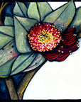 Macrocarpa