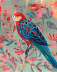 Rosella